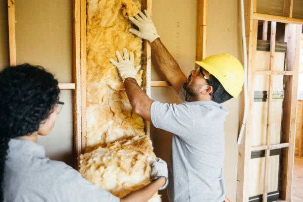 Best Wall Insulation Contractor  in Vandenberg Af, CA