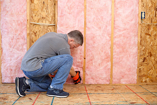 Best Fiberglass Insulation  in Vandenberg Af, CA