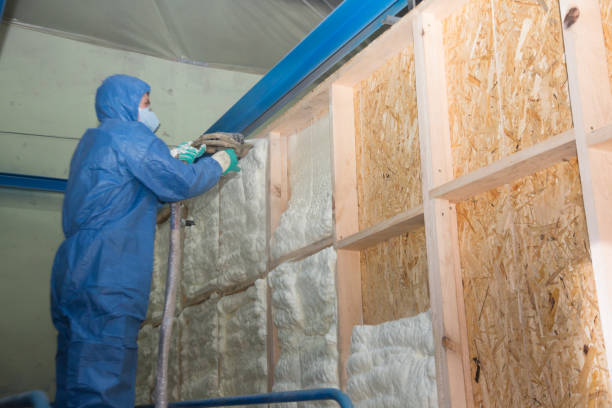 Best Insulation Repair Services  in Vandenberg Af, CA