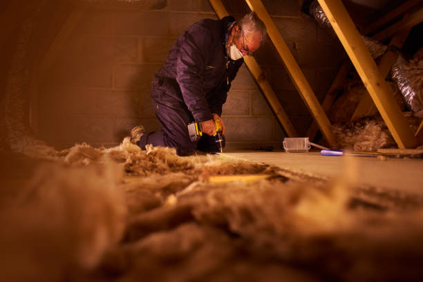 Best Insulation Replacement Services  in Vandenberg Af, CA