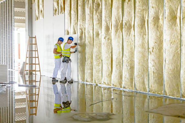 Best Insulation for New Construction  in Vandenberg Af, CA